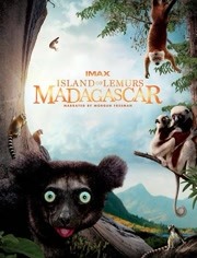 马达加斯加：狐猴之岛海报