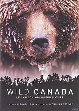 野性加拿大 第一季海报