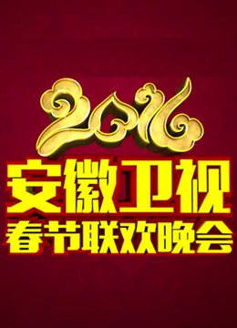 2016安徽卫视春晚海报