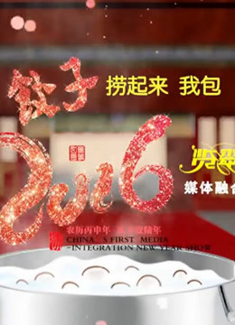 2016湖北卫视春晚海报
