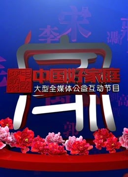 中国好家庭第二季海报